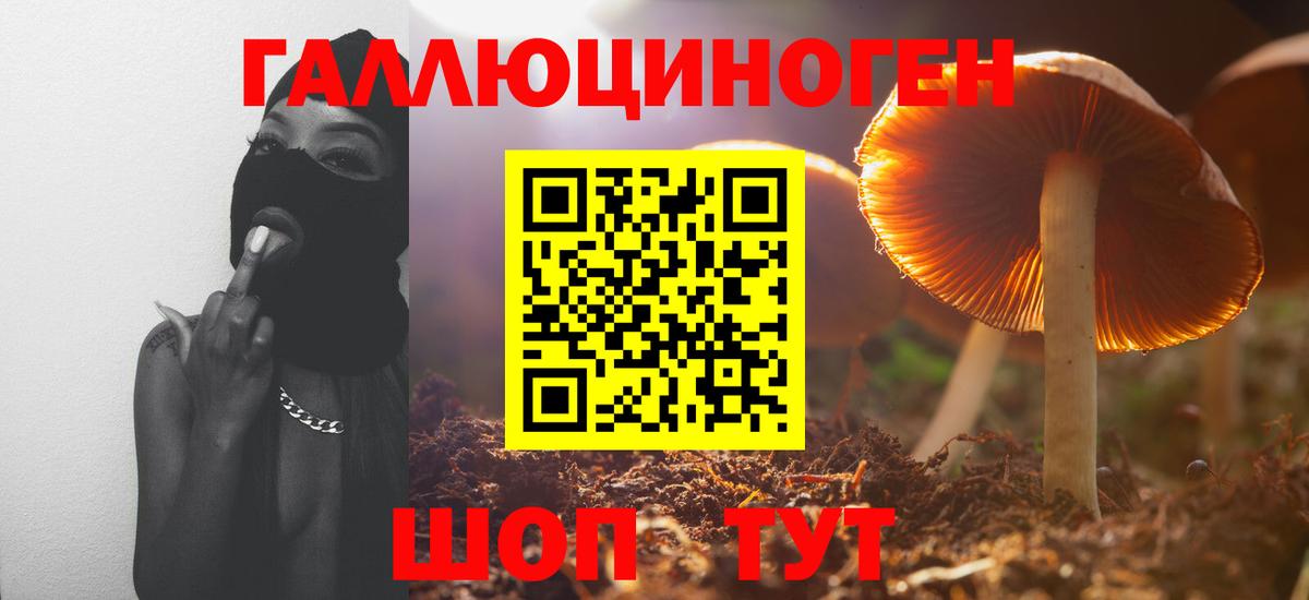 Галлюциногенные грибы GOLDEN TEACHER Минусинск
